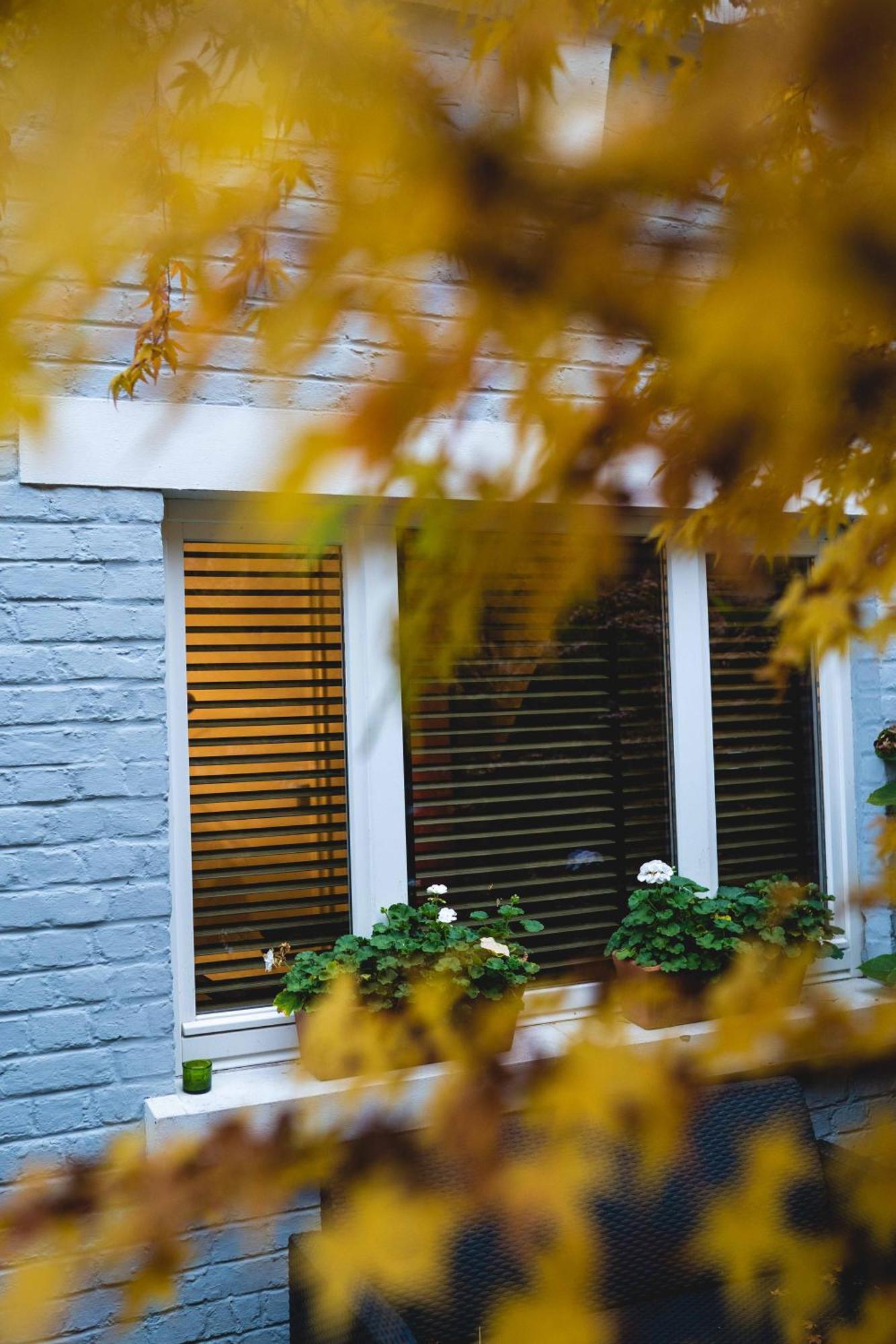 لييج B&B The Street Lodge المظهر الخارجي الصورة